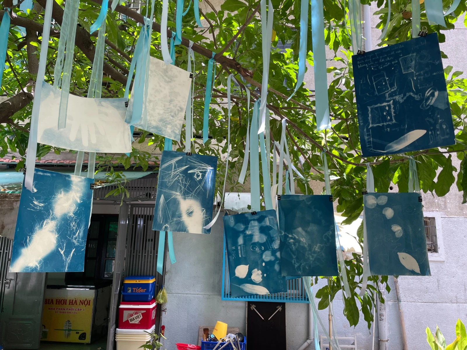 Cyanotype prints and blue ribbons suspended from a tree.